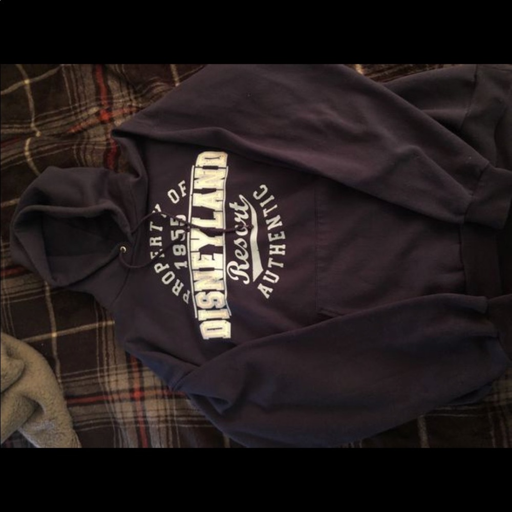 Authentic Disney resorts hoodie